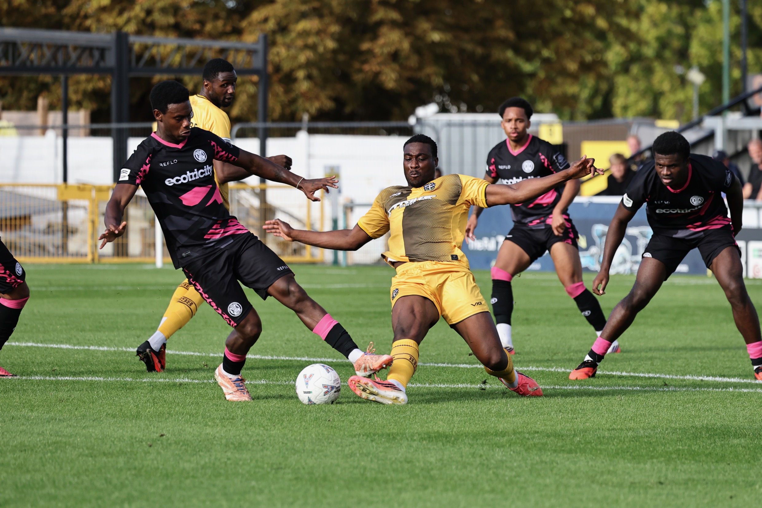 Report: Sutton United 3-3 Forest Green Rovers - Sutton United Football Club